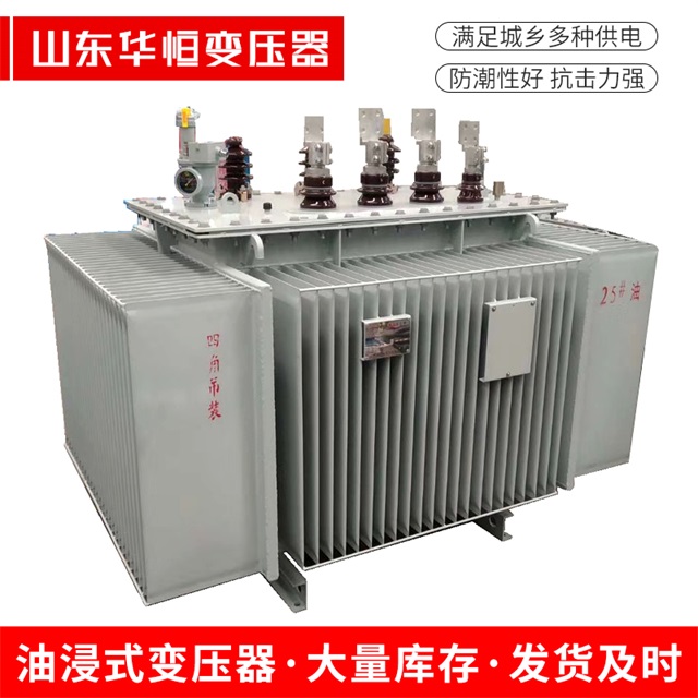 S13-10000/35理县理县理县电力变压器厂家